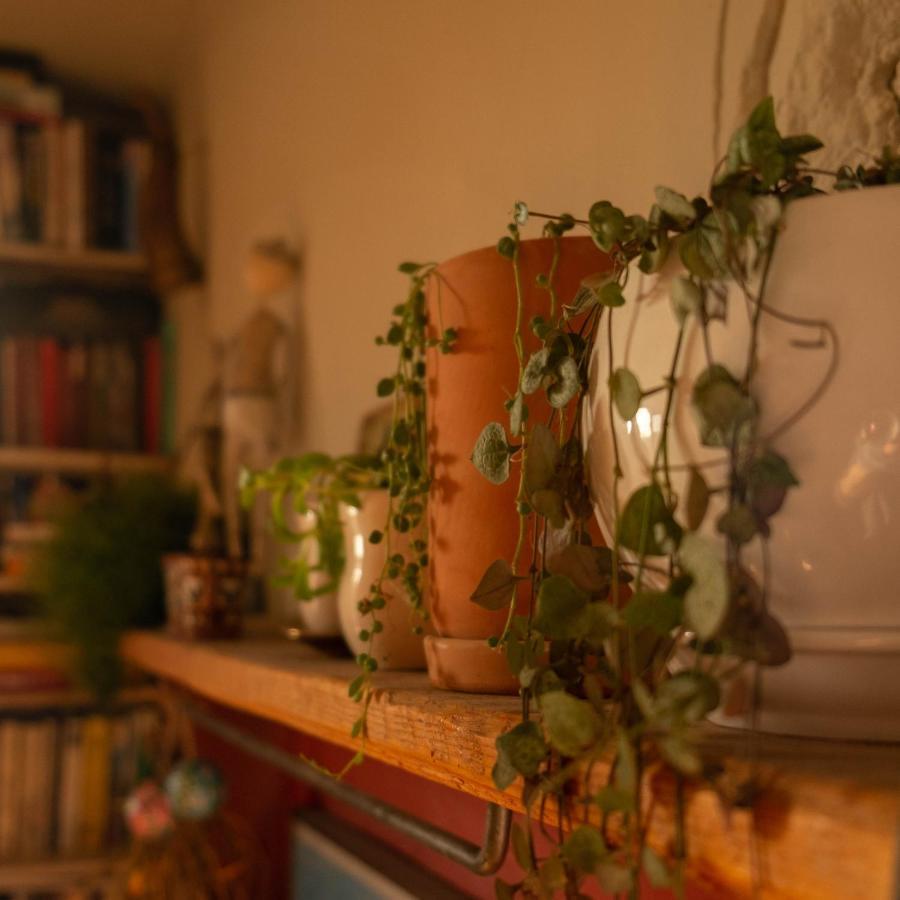 Udabno Hostel Εξωτερικό φωτογραφία